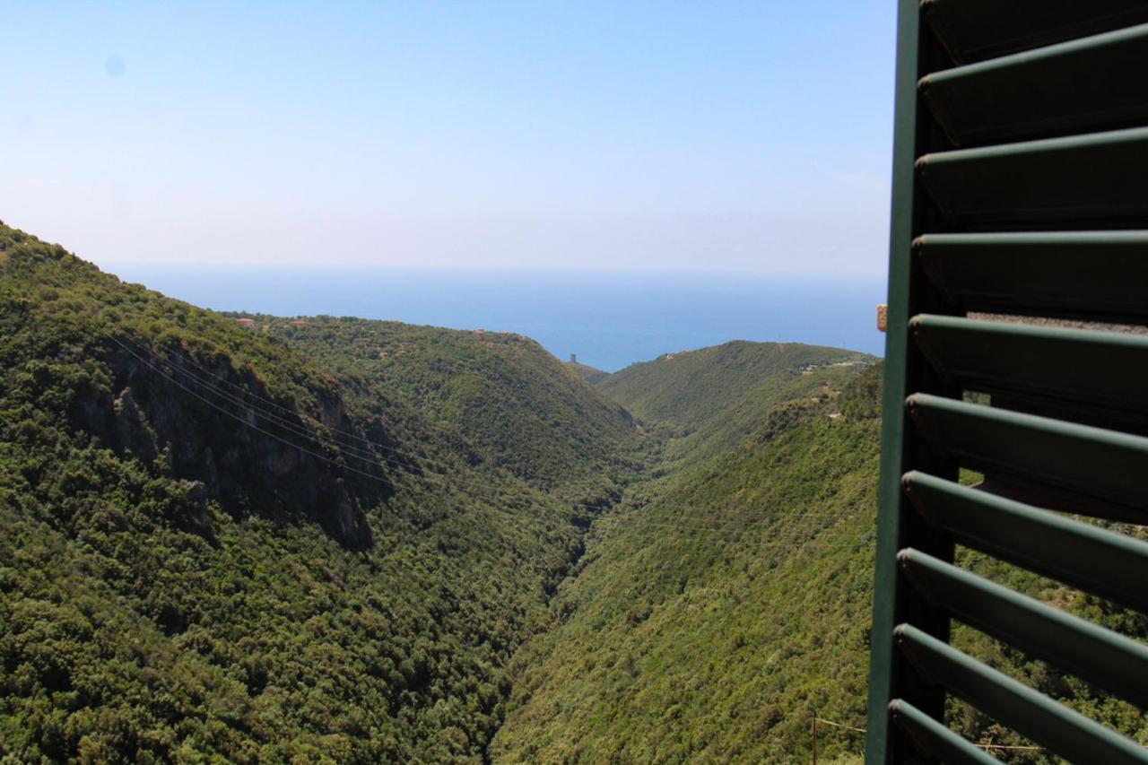 Affittacamere Pantaleone Camerota Exterior foto